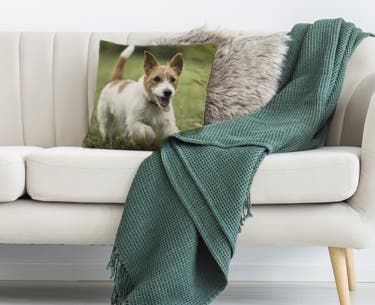 Canvas photo pillows hotsell